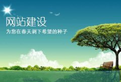 沌口企業(yè)建站,沌口網(wǎng)站建設